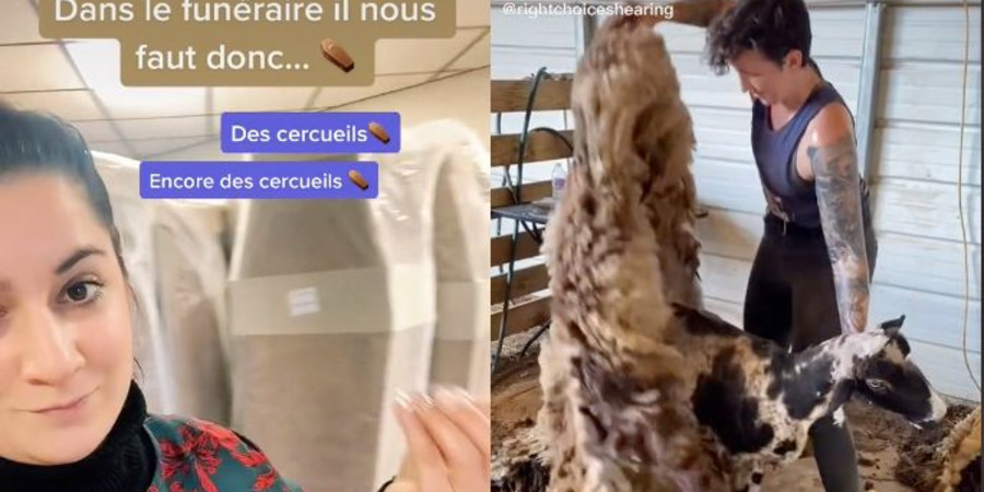 Les comptes présentant des métiers insolites cartonnent sur TikTok.